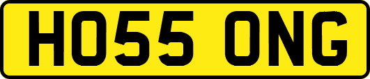 HO55ONG