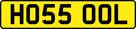 HO55OOL