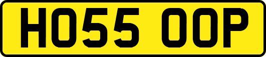 HO55OOP