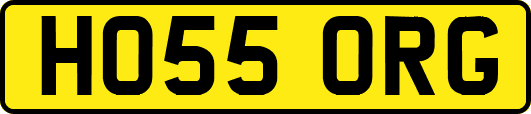 HO55ORG