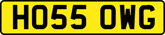 HO55OWG