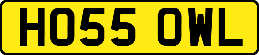 HO55OWL