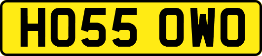 HO55OWO