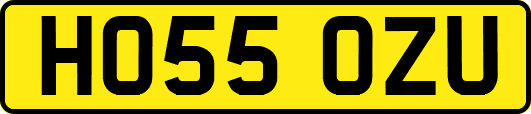 HO55OZU