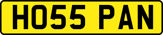 HO55PAN