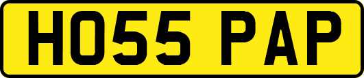 HO55PAP
