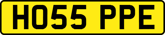 HO55PPE