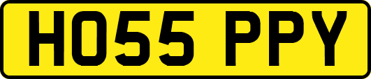 HO55PPY