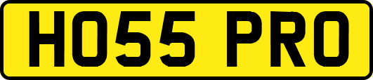 HO55PRO