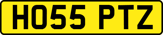 HO55PTZ