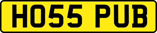 HO55PUB