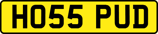 HO55PUD