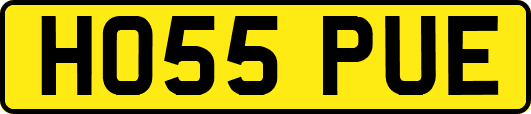 HO55PUE