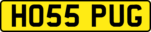 HO55PUG