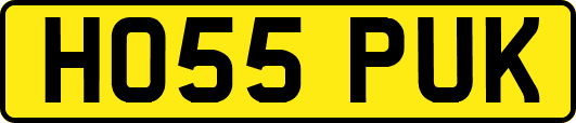 HO55PUK