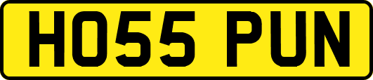 HO55PUN