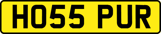 HO55PUR