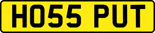 HO55PUT