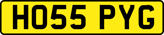 HO55PYG