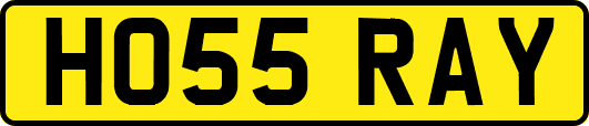 HO55RAY
