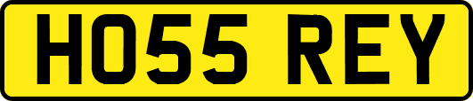 HO55REY