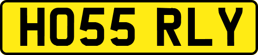 HO55RLY