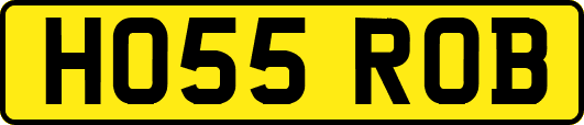 HO55ROB
