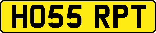 HO55RPT