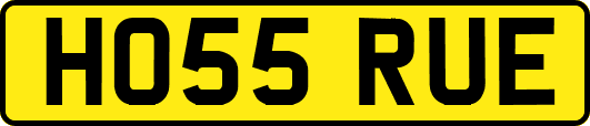 HO55RUE