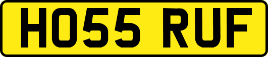 HO55RUF
