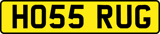 HO55RUG