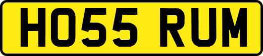 HO55RUM