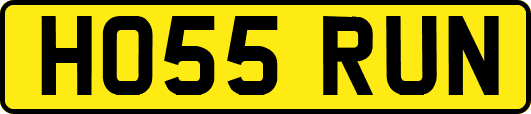 HO55RUN