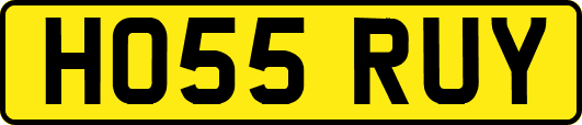 HO55RUY