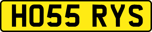 HO55RYS
