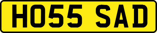 HO55SAD