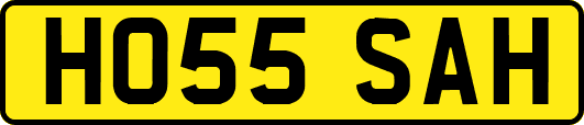 HO55SAH