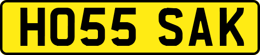 HO55SAK