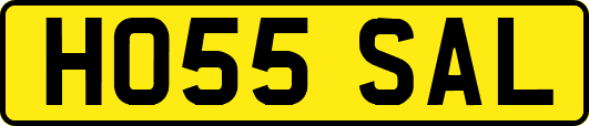 HO55SAL