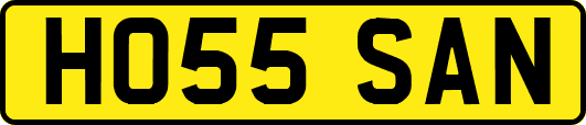 HO55SAN