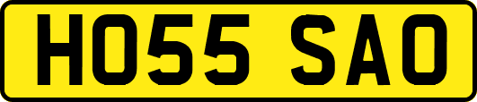 HO55SAO