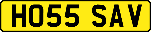 HO55SAV
