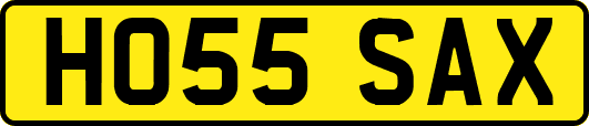HO55SAX