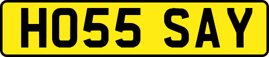 HO55SAY