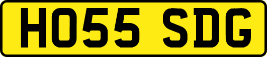 HO55SDG