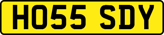 HO55SDY