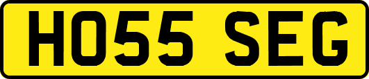 HO55SEG