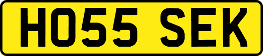 HO55SEK