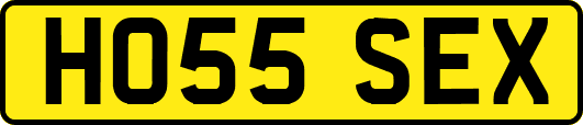 HO55SEX
