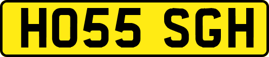 HO55SGH